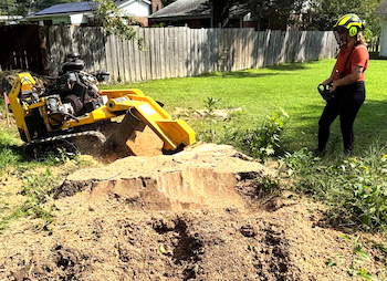 Chipper and stump grinder