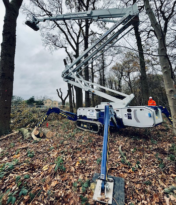 USM Falcon Lifts for tree care
