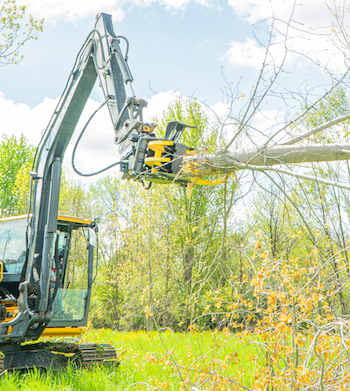 Werk-Brau tree shear attachment